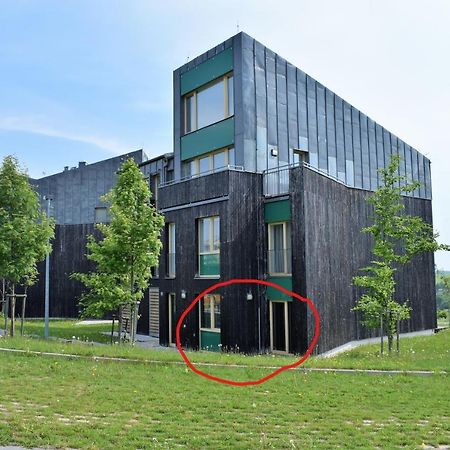 Miky Apartman Klinovec Loucna pod Klinovcem Exterior photo